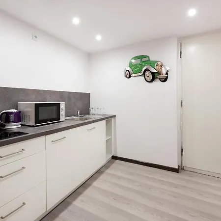 Milmis Apartments - Center Of Prague 3* Prague